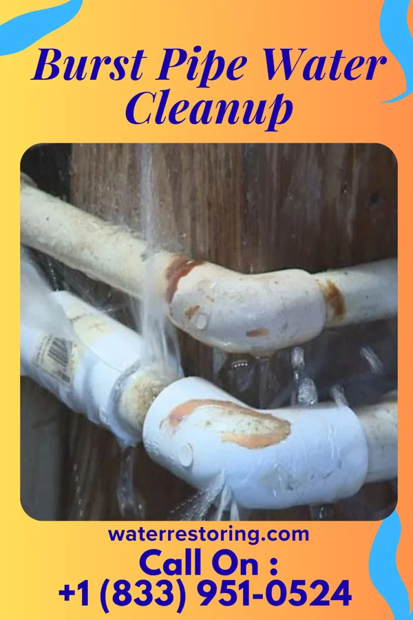 Burst Pipe Water Cleanup in Mount Rainier, MD