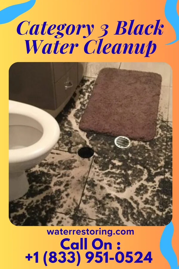 Category 3 Black Water Cleanup in Mount Rainier, MD