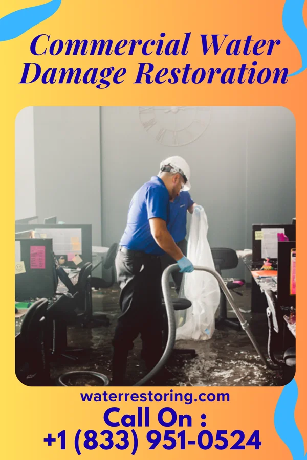 Commercial Water Damage Restoration in Mount Rainier, MD