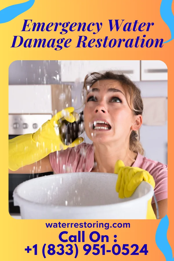 Emergency Water Damage Restoration in Mount Rainier, MD